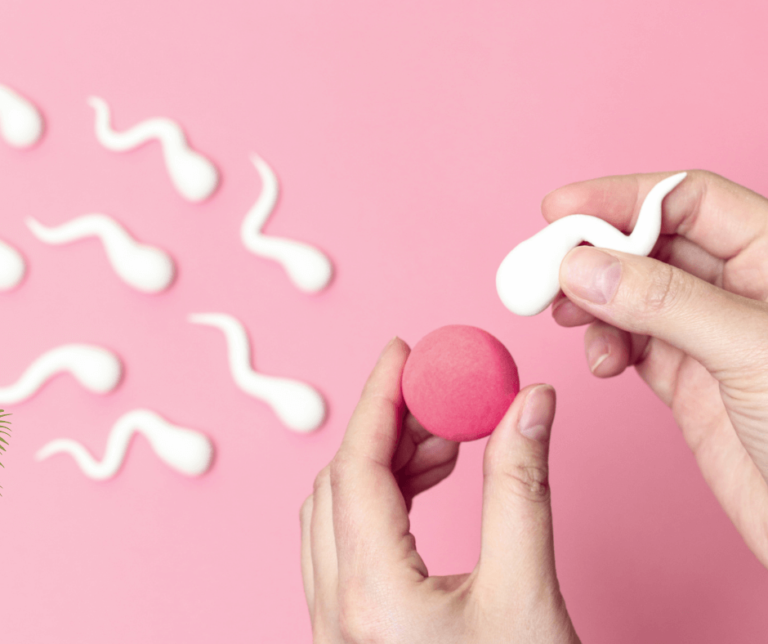 biały plemnik i różowa komórka jajowa