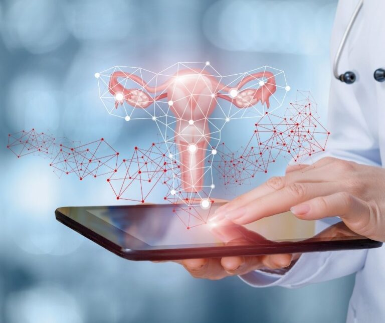 budowa macicy telefon