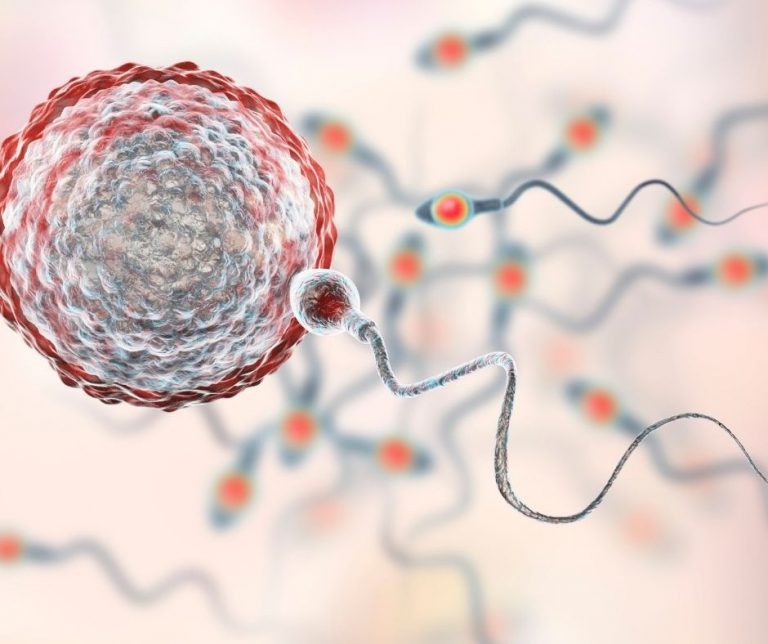 Jakie są metody leczenia niepłodności? Ovum Lublin