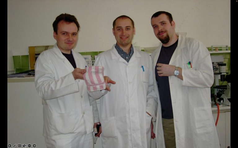konferencja ovum