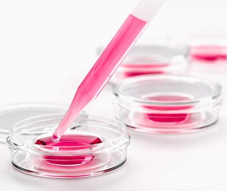 Co to jest okno implantacyjne