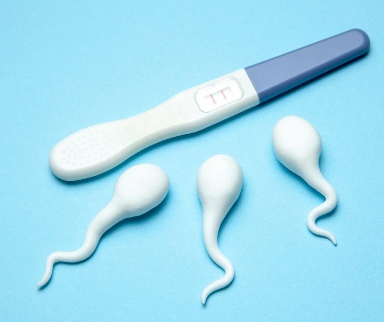 inseminacja nasieniem dawcy