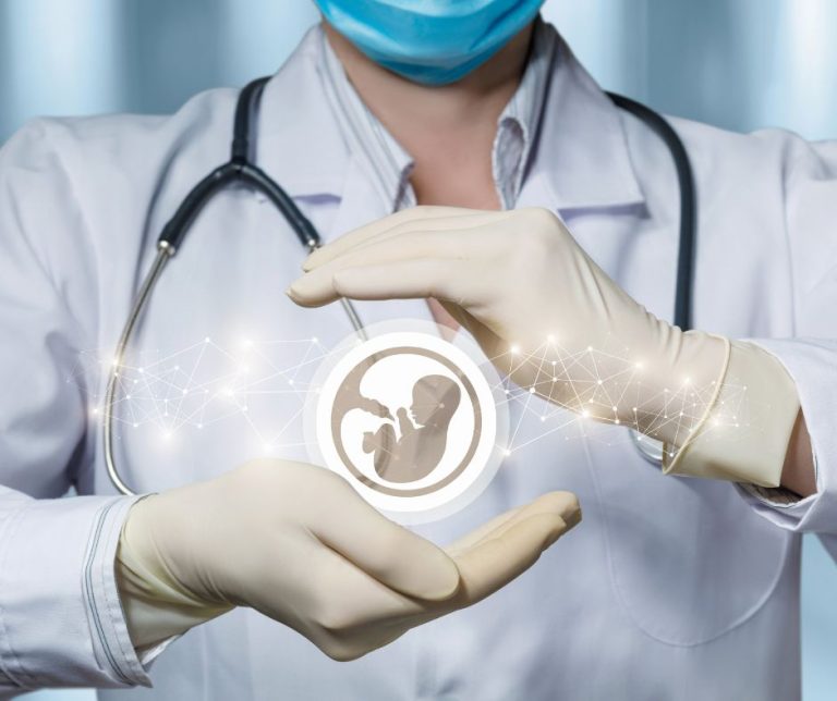 Embrion. Embriolog. Embriologia