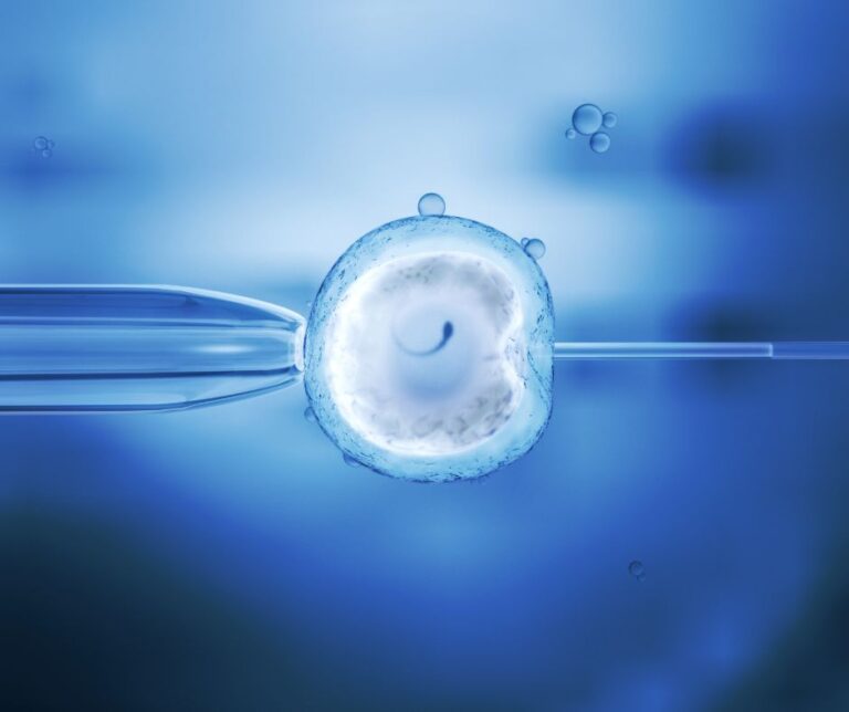 zapłodnienie in vitro