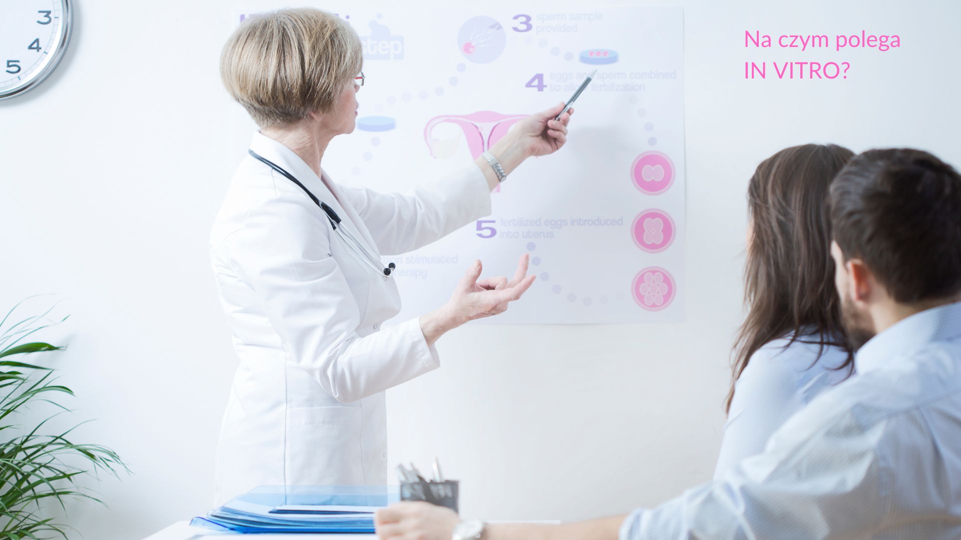 Na czym polega in vitro?