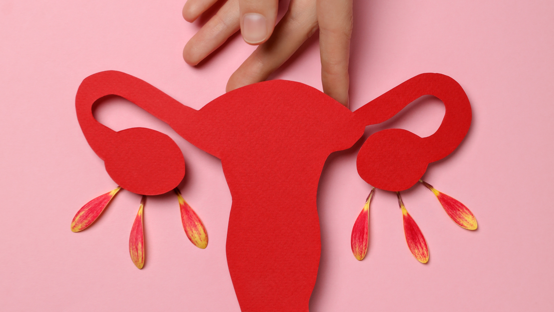 Inseminacja domaciczna czym jest