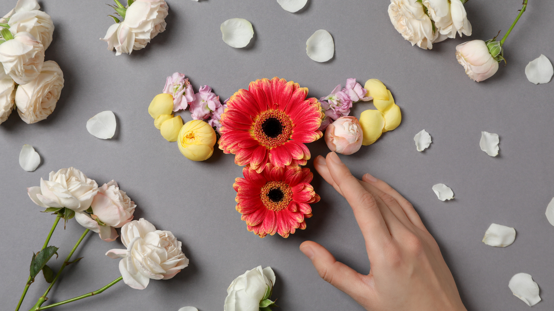 Inseminacja domaciczna przebieg zabiegu